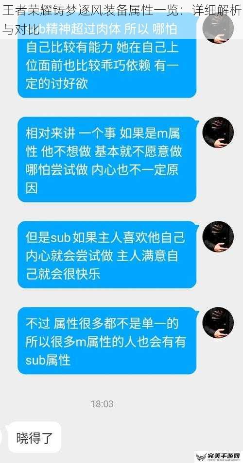 王者荣耀铸梦逐风装备属性一览：详细解析与对比