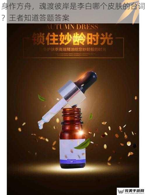 身作方舟，魂渡彼岸是李白哪个皮肤的台词？王者知道答题答案