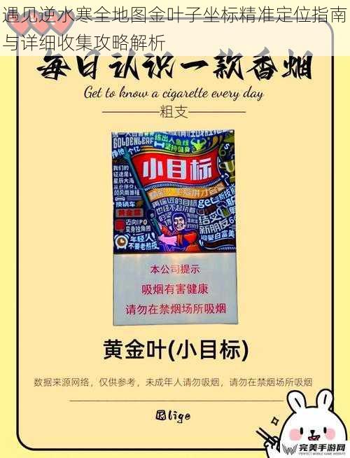 遇见逆水寒全地图金叶子坐标精准定位指南与详细收集攻略解析