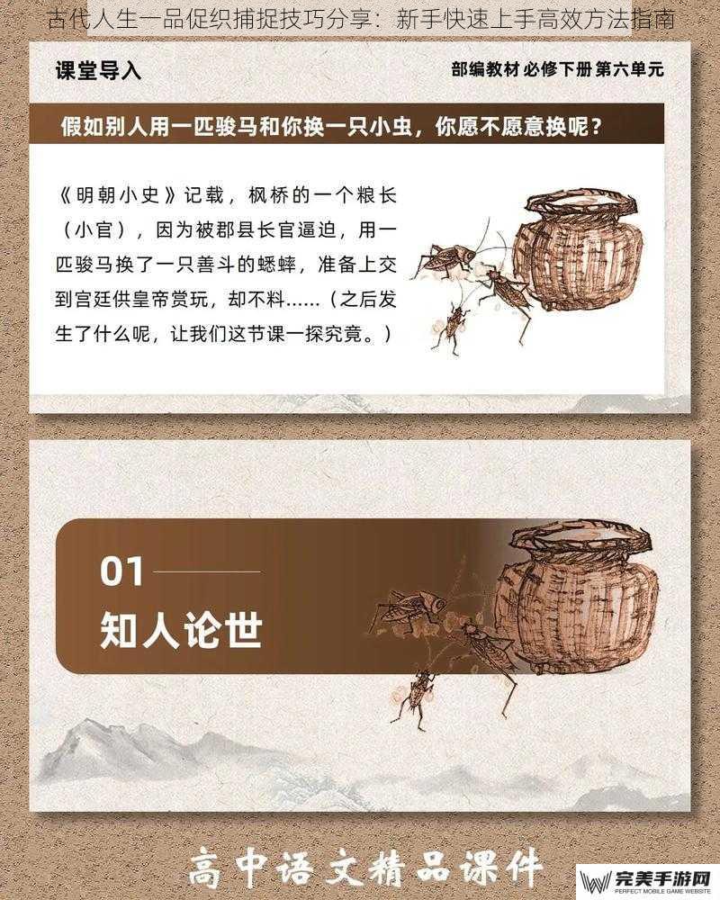 古代人生一品促织捕捉技巧分享：新手快速上手高效方法指南