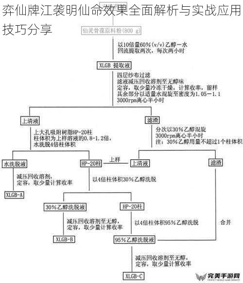 弈仙牌江袭明仙命效果全面解析与实战应用技巧分享