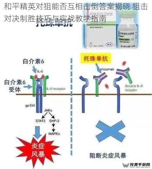 和平精英对狙能否互相击倒答案揭晓 狙击对决制胜技巧与实战教学指南