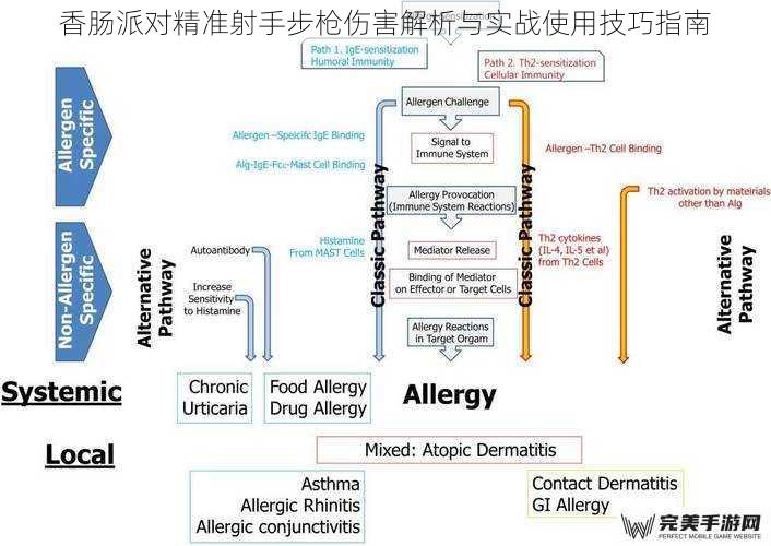 香肠派对精准射手步枪伤害解析与实战使用技巧指南