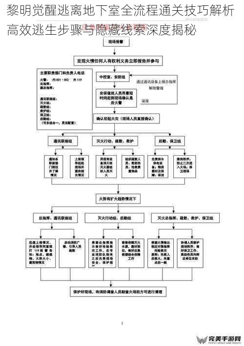 逃生流程核心阶段分解