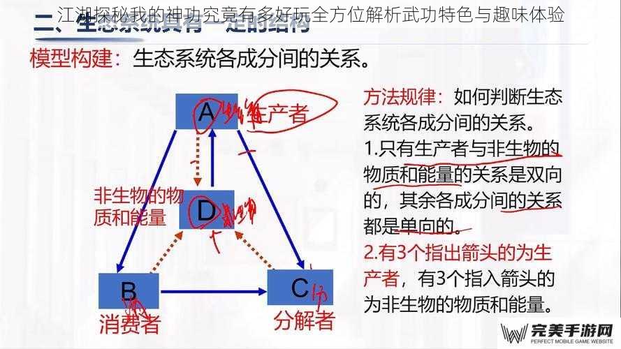 江湖探秘我的神功究竟有多好玩全方位解析武功特色与趣味体验