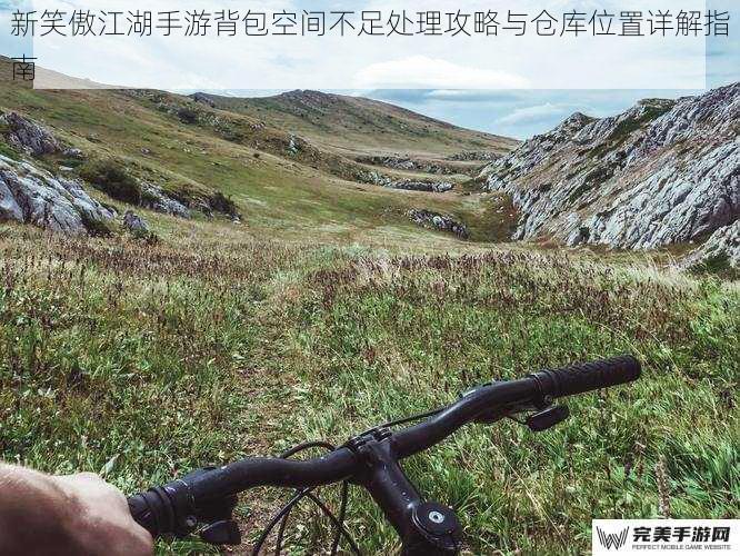 新笑傲江湖手游背包空间不足处理攻略与仓库位置详解指南