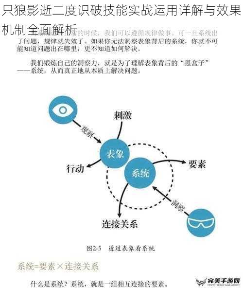 只狼影逝二度识破技能实战运用详解与效果机制全面解析