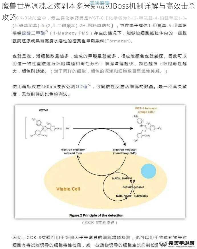 机制解析：毒素与召唤的复合威胁