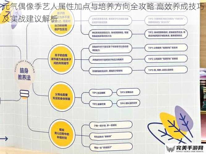 核心属性体系拆解与优先级判定